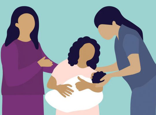 Курсы повышения квалификации консультантов по ГВ